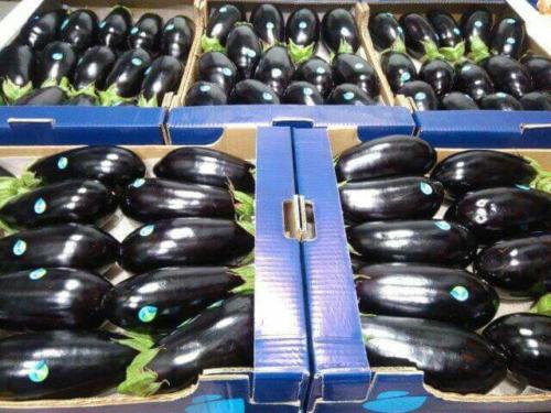 Aubergines