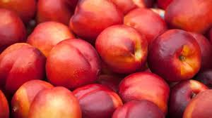 NECTARINE