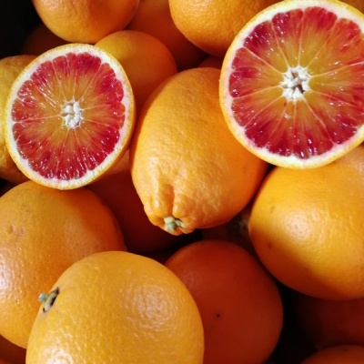 orange-tarocco-rosso1 2